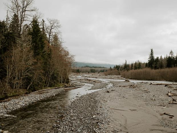 Photo 2 for Sightseeing at the Nisqually River