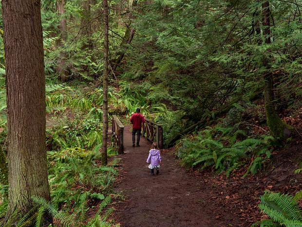 Photo 1 for Hiking and Exploring at Larrabee State Park