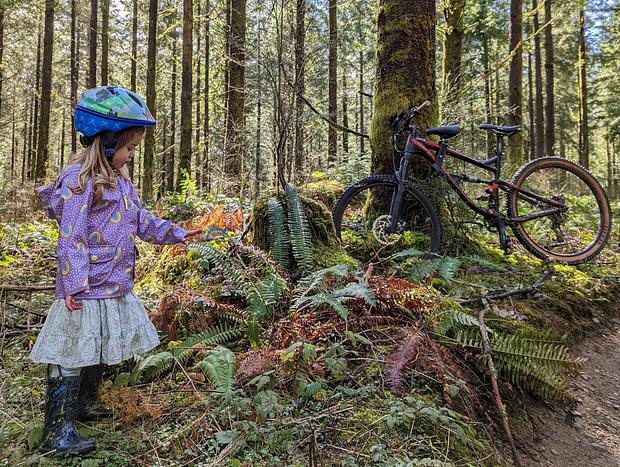 Photo 2 for Mountain Biking in Bellingham