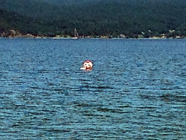 Photo 52 for San Juan Islands Beachfront Sanctuary