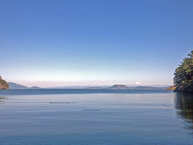 Photo 41 for San Juan Islands Beachfront Sanctuary