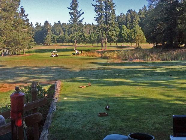 Photo 26 for San Juan Islands Beachfront Sanctuary