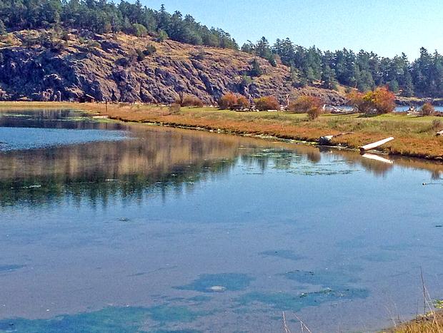 Photo 32 for San Juan Islands Beachfront Sanctuary