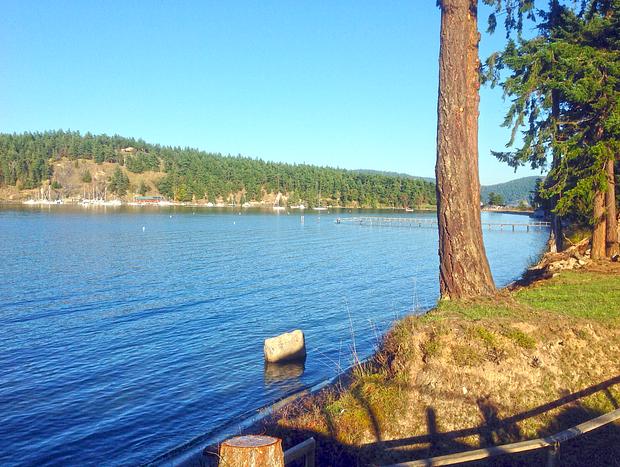 Photo 37 for San Juan Islands Beachfront Sanctuary