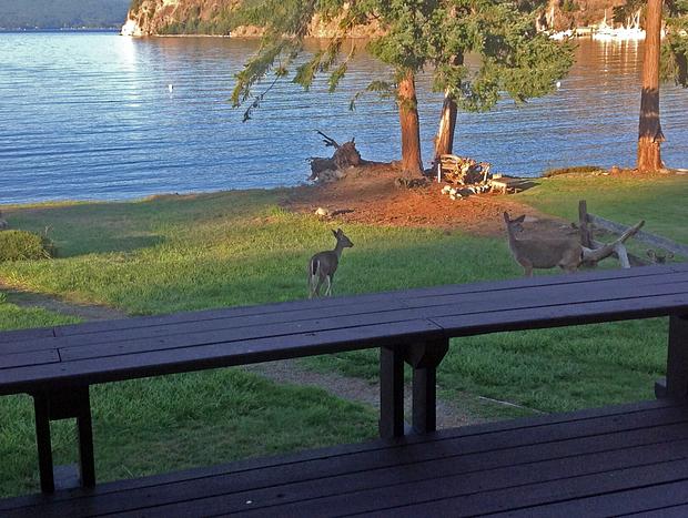 Photo 38 for San Juan Islands Beachfront Sanctuary