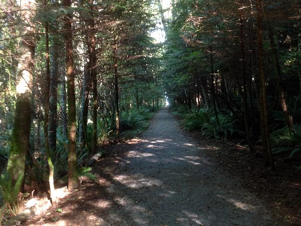 Photo 48 for San Juan Islands Beachfront Sanctuary