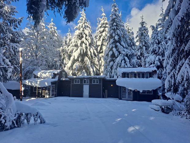 Photo 17 for Little Feet Retreat - A Mt. Rainer Cabin Escape
