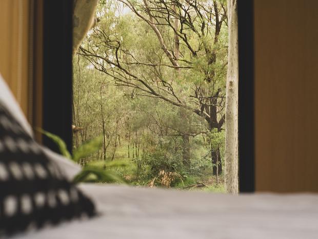 Photo 4 for Tiny House 800