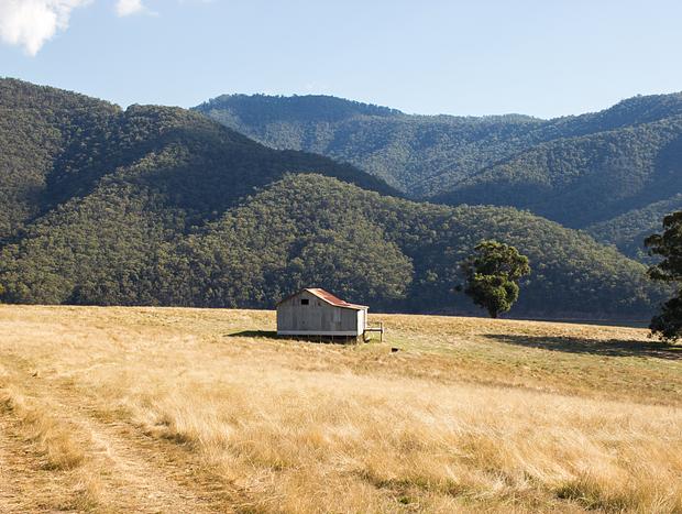 Photo 19 for A Quiet Escape in High Country
