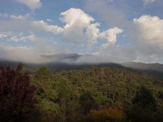 Photo 20 for A Quiet Escape in High Country