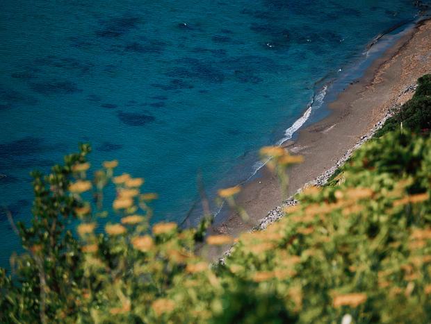 Photo 1 for Paekakariki Hill