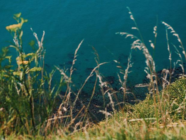 Photo 4 for Paekakariki Hill