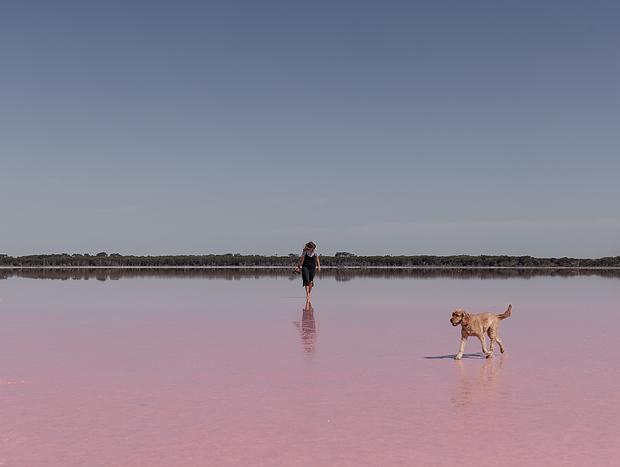 Photo 1 for Experience a Pink Lake