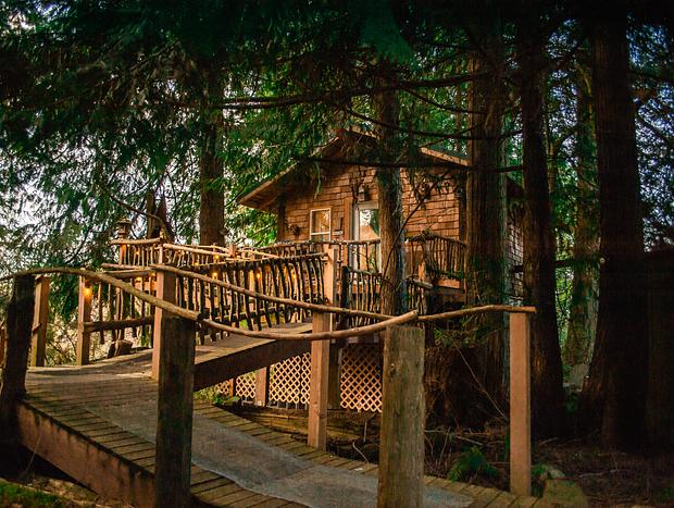 Photo 7 for Rural Treehouse Hideaway