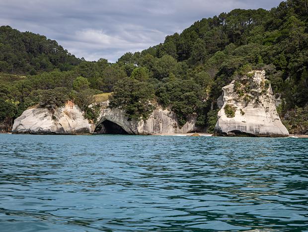 Photo 2 for The Hahei Explorer Cathedral Cove Boat Tour