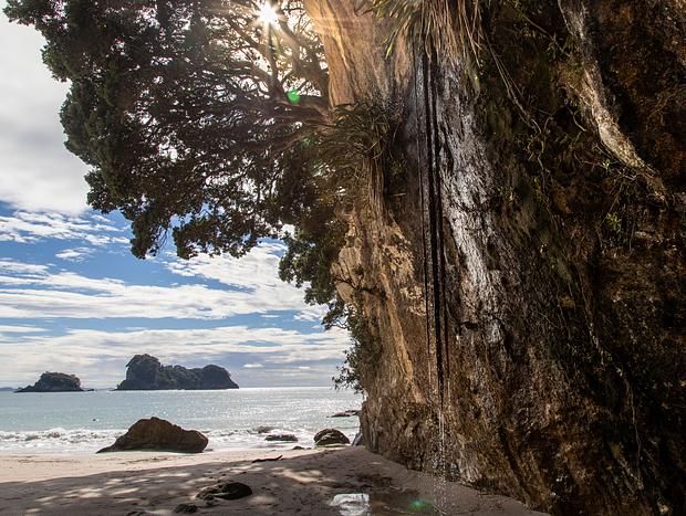 Photo 4 for Cathedral Cove