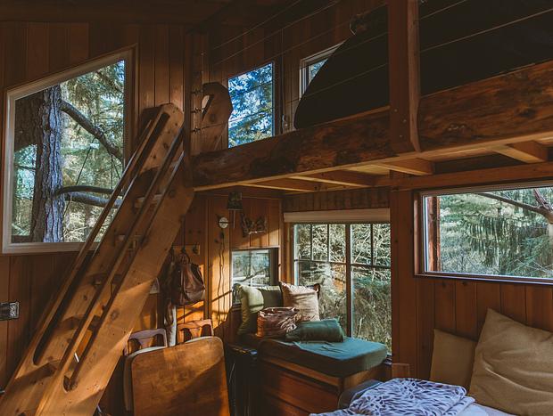 Photo 3 for A Squirrel's Nest Treehouse Adventure