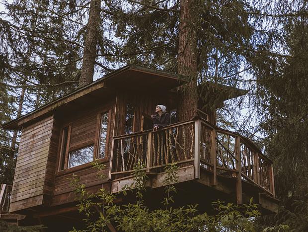 Photo 9 for A Squirrel's Nest Treehouse Adventure