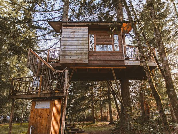 Photo 10 for A Squirrel's Nest Treehouse Adventure