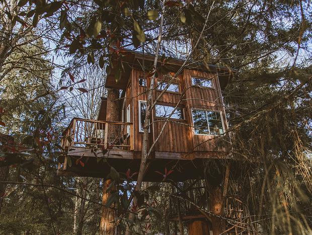 Photo 21 for A Squirrel's Nest Treehouse Adventure