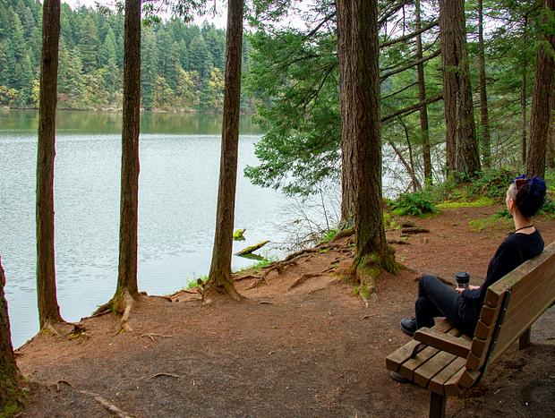 Photo 18 for Cozy in Camas