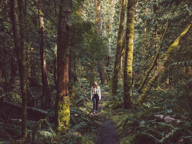 Photo 13 for Hideaway Amongst the Trees in Bellingham