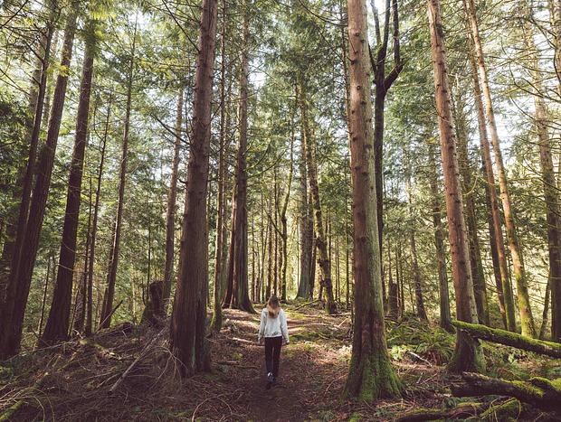 Photo 17 for Hideaway Amongst the Trees in Bellingham