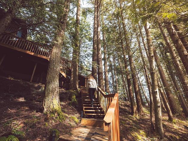 Photo 12 for Hideaway Amongst the Trees in Bellingham
