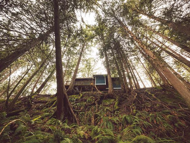 Photo 11 for Hideaway Amongst the Trees in Bellingham