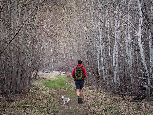 Photo 3 for Hiking the Tieton River Nature Trail (or Winter Snowshoe)