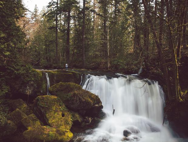 Photo 15 for Hideaway Amongst the Trees in Bellingham