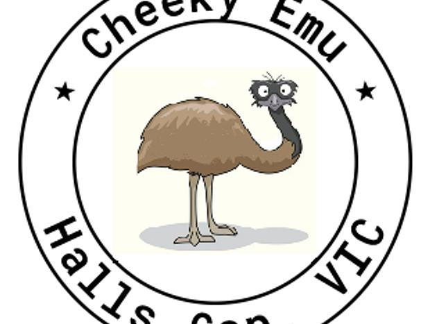 Photo 6 for Cheeky Emu Spacious Family Accommodation - Halls Gap