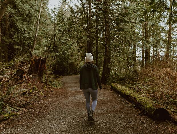 Photo 2 for North Lake Whatcom Trail