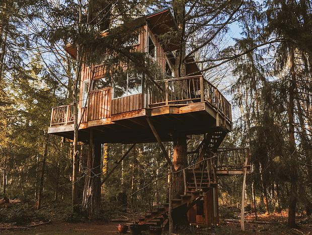 Photo 11 for A Squirrel's Nest Treehouse Adventure