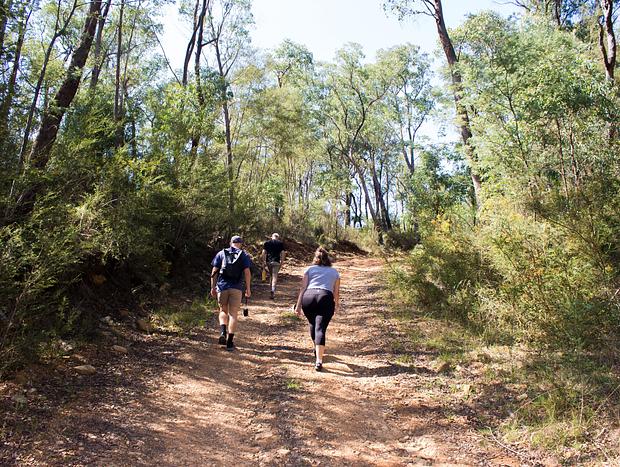 Photo 25 for A Quiet Escape in High Country