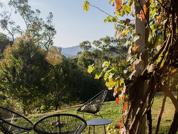 Photo 16 for A Quiet Escape in High Country
