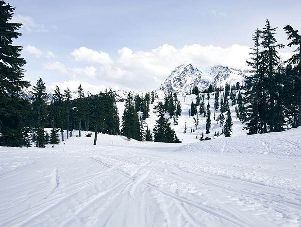 Photo 1 for Mount Baker Ski Resort