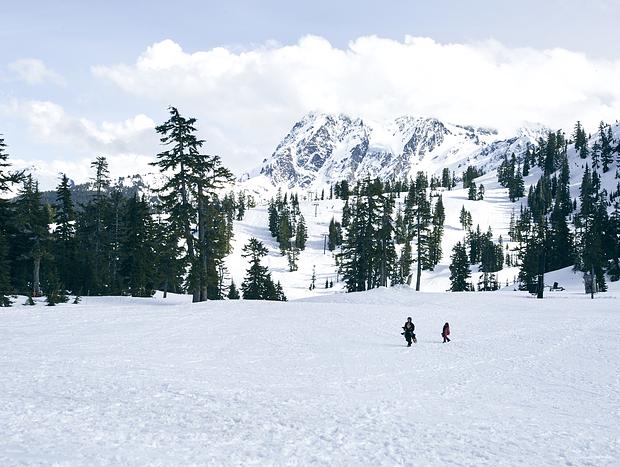 Photo 2 for Mount Baker Ski Resort