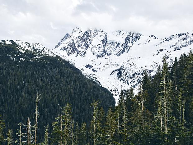 Photo 2 for Mt. Baker White Salmon Ski Area