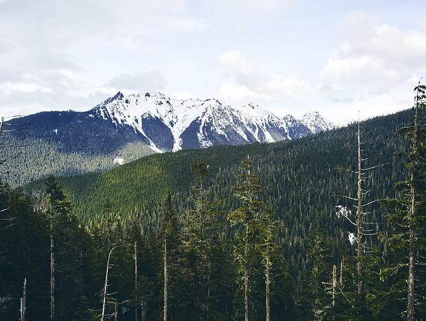 Photo 4 for Mt. Baker White Salmon Ski Area