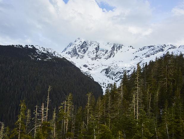 Photo 5 for Mt. Baker White Salmon Ski Area