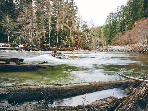 Photo 3 for North Fork Nooksack River