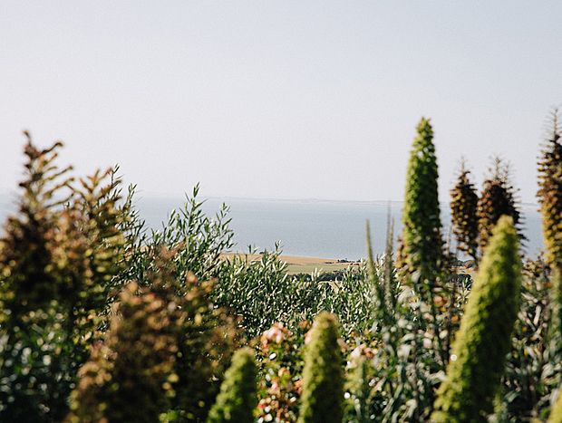 Photo 10 for The House On The Hill