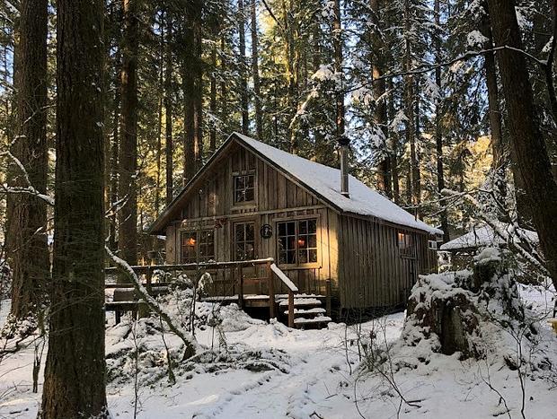 Photo 19 for Cozy Up in Historic Cedarwood Cabin