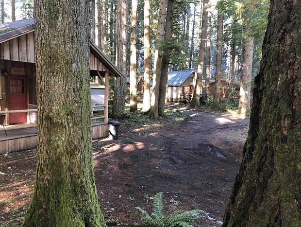 Photo 21 for Cozy Up in Historic Cedarwood Cabin