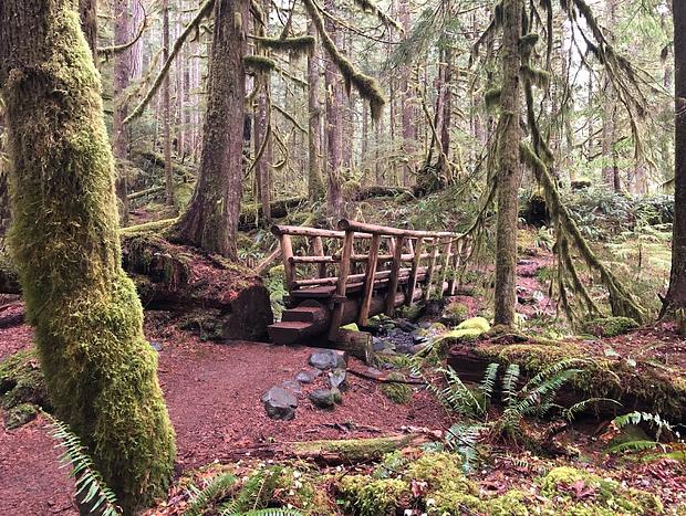 Photo 24 for Cozy Up in Historic Cedarwood Cabin