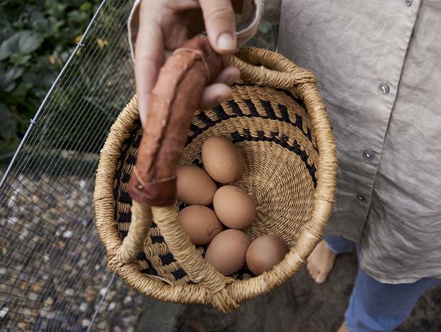 Photo 4 for Catch your Eggs in the Morning