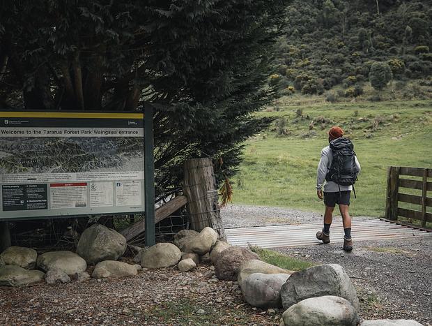 Hike into the Tararua Forest Park