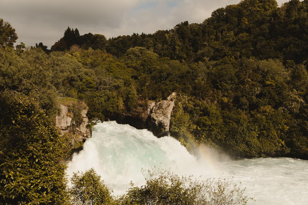 Kawakawa Hut Tiny house for Rent in Marotiri, Taupō, NZ Riparide