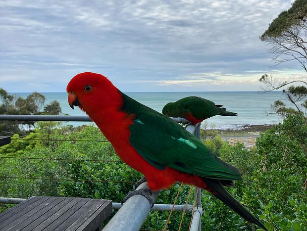 Photo 8 for Periton Lodge - Retro Beach House